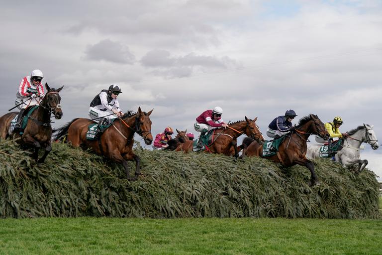 Grand National 2025: Five Irish horses to follow